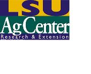 Louisiana State University Logo